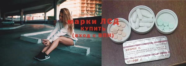 хмурый Абаза