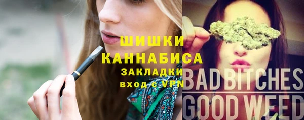 хмурый Абаза
