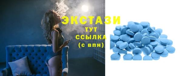 прущие грибы Алзамай