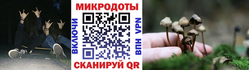 omg tor  Дубна  Галлюциногенные грибы MAGIC MUSHROOMS 
