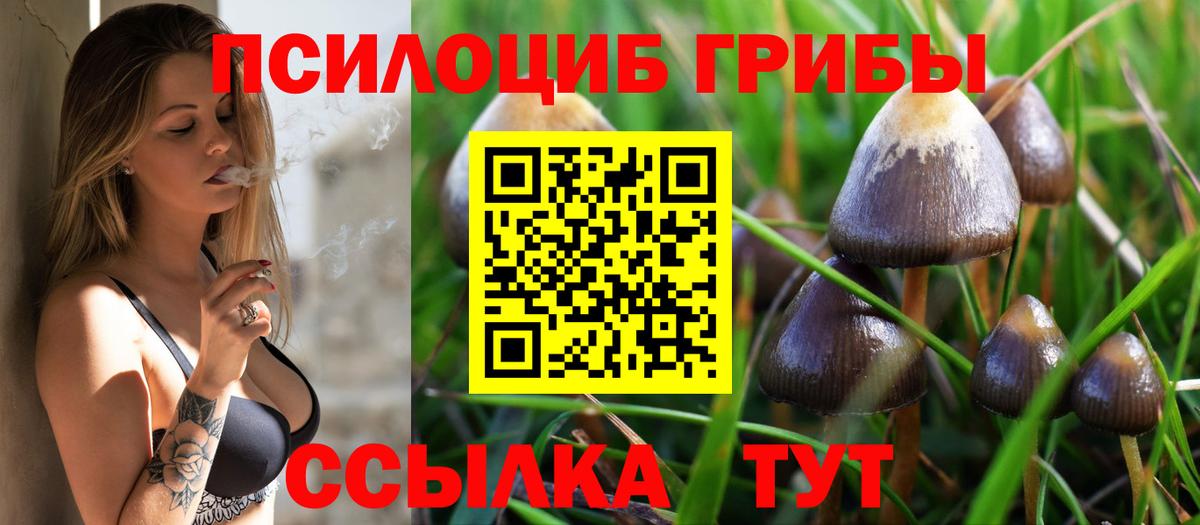 Галлюциногенные грибы MAGIC MUSHROOMS Дубна