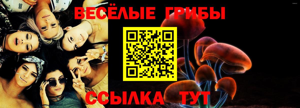Галлюциногенные грибы мицелий  Вход с VPN  Дубна  Галлюциногенные грибы Psilocybine cubensis 
